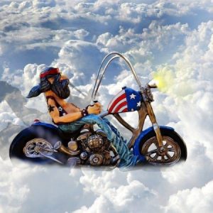 Profile photo of bklynbiker