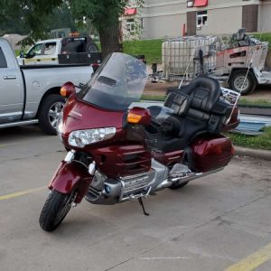 Profile photo of Wingman9900