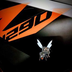 Profile photo of wingman723