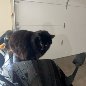 Profile photo of Will B