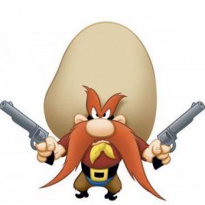 Profile photo of Bytor