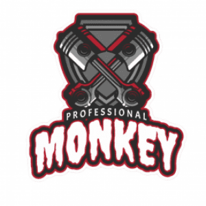 Profile photo of ProfessionalMonkey